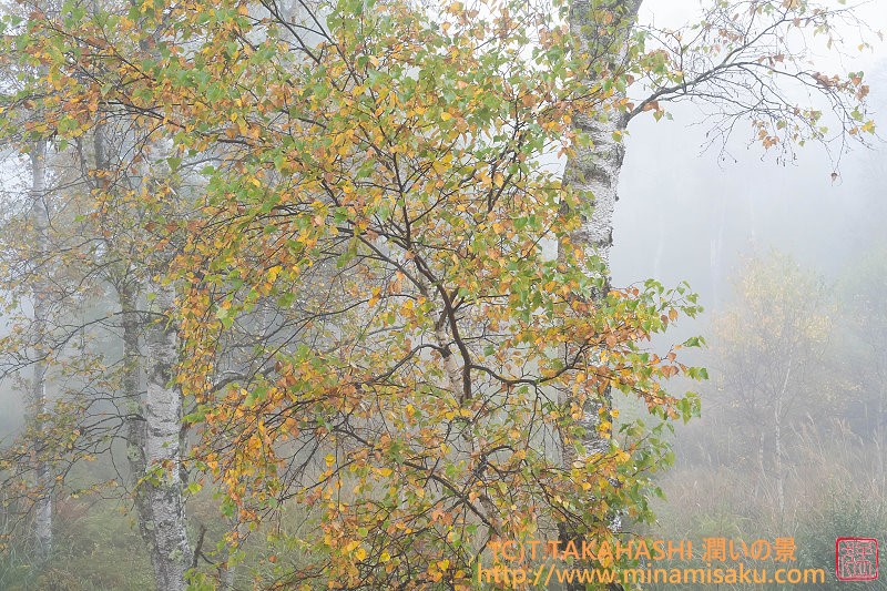 ../Images/7R251019 (76).jpg